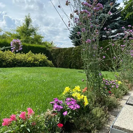 Lejlighed Panorama-uebernachtungen Biberach-Ummendorf